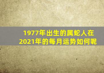 1977年出生的属蛇人在2021年的每月运势如何呢