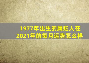 1977年出生的属蛇人在2021年的每月运势怎么样