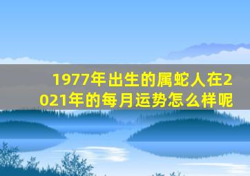 1977年出生的属蛇人在2021年的每月运势怎么样呢