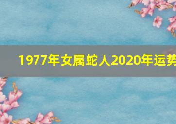 1977年女属蛇人2020年运势