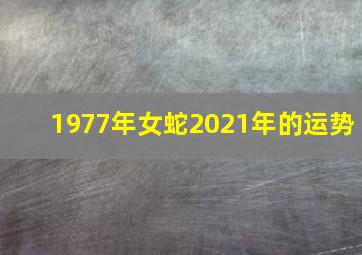 1977年女蛇2021年的运势