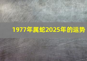 1977年属蛇2025年的运势