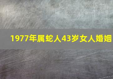 1977年属蛇人43岁女人婚姻