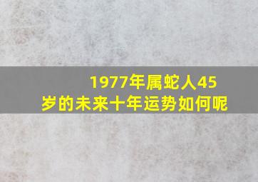 1977年属蛇人45岁的未来十年运势如何呢