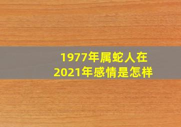 1977年属蛇人在2021年感情是怎样