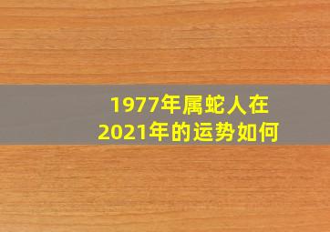 1977年属蛇人在2021年的运势如何