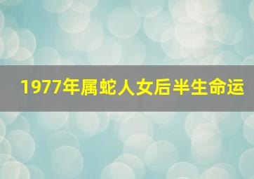 1977年属蛇人女后半生命运