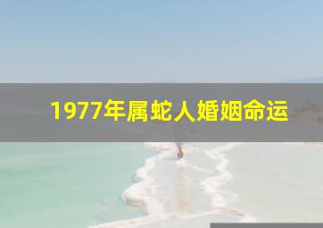 1977年属蛇人婚姻命运