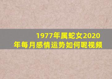 1977年属蛇女2020年每月感情运势如何呢视频