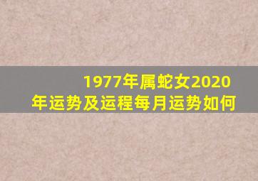 1977年属蛇女2020年运势及运程每月运势如何