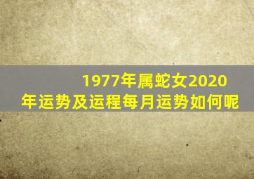 1977年属蛇女2020年运势及运程每月运势如何呢