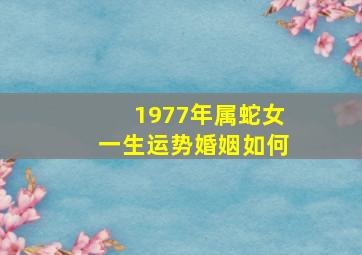 1977年属蛇女一生运势婚姻如何