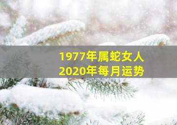 1977年属蛇女人2020年每月运势