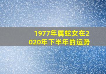 1977年属蛇女在2020年下半年的运势