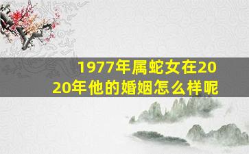 1977年属蛇女在2020年他的婚姻怎么样呢