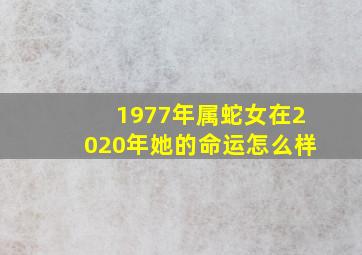 1977年属蛇女在2020年她的命运怎么样