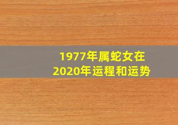 1977年属蛇女在2020年运程和运势