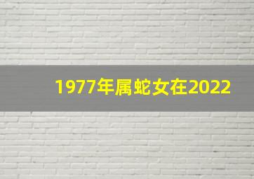 1977年属蛇女在2022