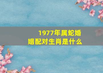 1977年属蛇婚姻配对生肖是什么