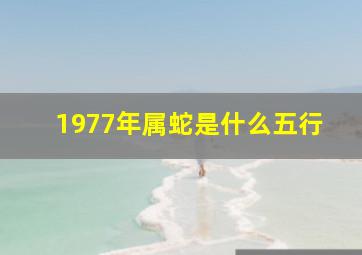 1977年属蛇是什么五行