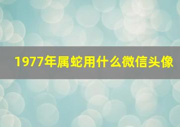 1977年属蛇用什么微信头像