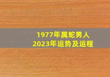 1977年属蛇男人2023年运势及运程