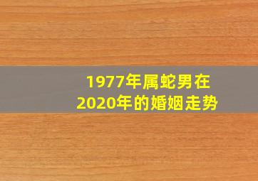 1977年属蛇男在2020年的婚姻走势