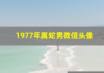 1977年属蛇男微信头像