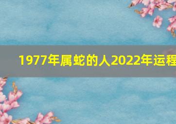 1977年属蛇的人2022年运程