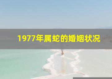 1977年属蛇的婚姻状况