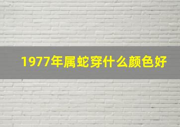 1977年属蛇穿什么颜色好