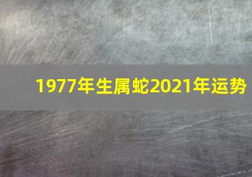 1977年生属蛇2021年运势