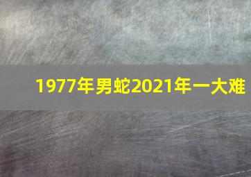 1977年男蛇2021年一大难