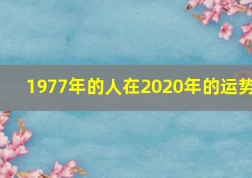 1977年的人在2020年的运势