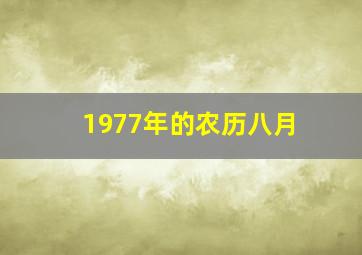 1977年的农历八月