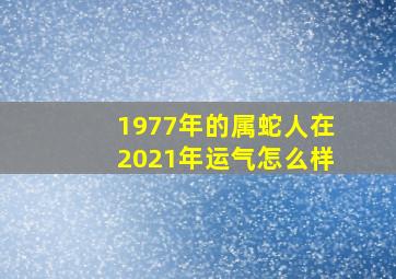 1977年的属蛇人在2021年运气怎么样