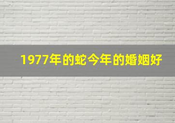 1977年的蛇今年的婚姻好