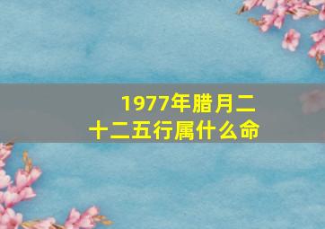 1977年腊月二十二五行属什么命