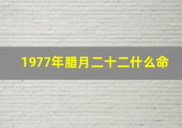 1977年腊月二十二什么命