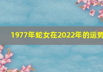 1977年蛇女在2022年的运势