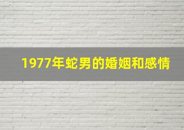 1977年蛇男的婚姻和感情