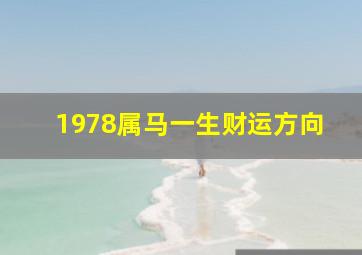 1978属马一生财运方向