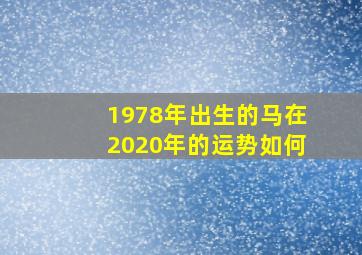 1978年出生的马在2020年的运势如何