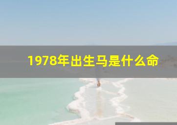 1978年出生马是什么命