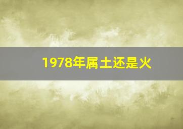 1978年属土还是火