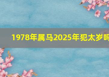 1978年属马2025年犯太岁吗