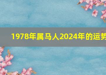 1978年属马人2024年的运势