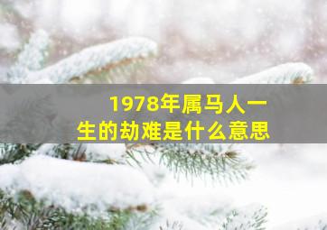 1978年属马人一生的劫难是什么意思