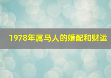 1978年属马人的婚配和财运