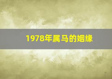 1978年属马的姻缘